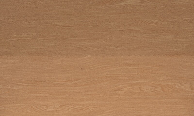 Beech Wood wood texture, background high quality, material for design and artworks	
