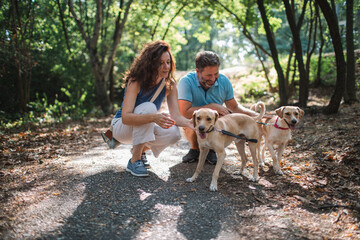 Enjoying warm moments with dogs	
