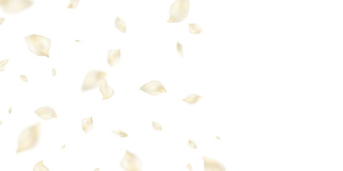 Beautiful flower petals background vector illustration.
