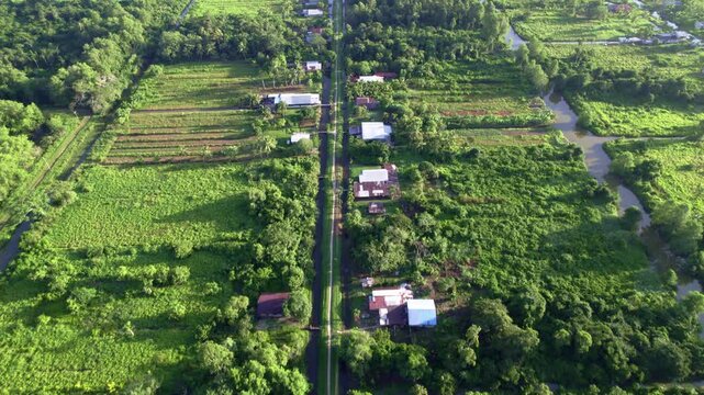 Roadway and waterways between houses, Rust and Werk plantation, village reveal, Suriname