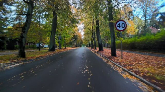 Driver&rsquo;s Perspective of a Road Through an Autumn Town After Light Rain, Featuring Scenic Views and Colorful Leaves.