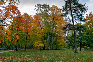 Autumn colours on the trees in Sibelius Park, Helsinki, Finland