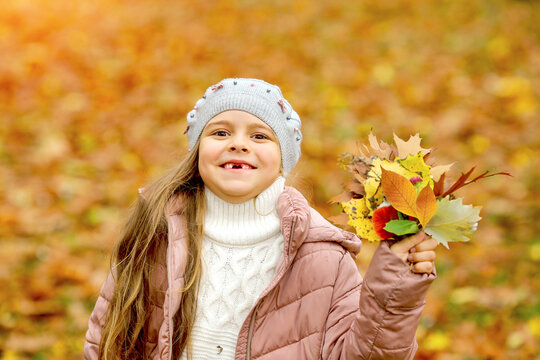Cute Caucasian girl, smile without front teeth, in a knitted gray biret with a bouquet of autumn leaves. Autumn park background blur. Childhood concept