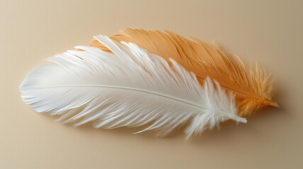 Delicate feathers in warm beige tones arranged on a flat surface creating a serene and aesthetic display