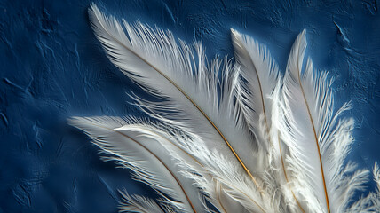 Delicate white feathers arranged artistically on a textured blue background showcasing a blend of nature and design elegance