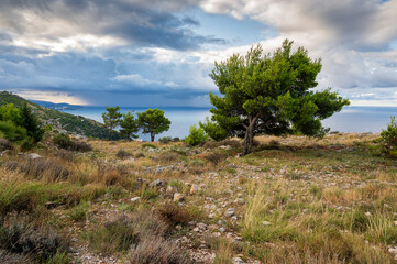 Piękno natury na wzgórzu Srd w Dubrowniku o poranku w towarzystwie majestatycznych chmur. 