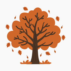 Autumn oak tree vector illustration isolated on white background