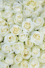 bouquet of white roses