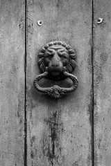 Old door with a lion.