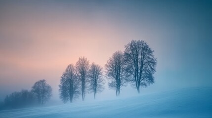 Fototapeta premium A snowy scene with trees silhouetted against a misty sky.