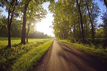 Obraz premium A serene dirt road winds through green trees at sunrise in a peaceful countryside