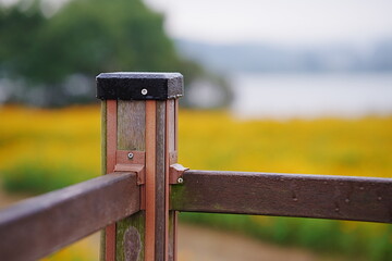 old fence