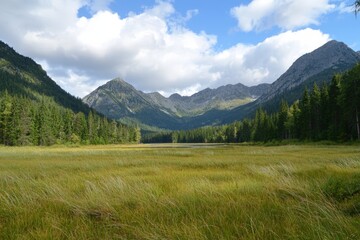Obraz premium Vast green meadow surrounded by majestic mountains under a bright blue sky at midday