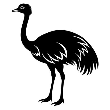 recommend clip art: emu isolated on white