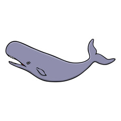 sperm whale vector illustration