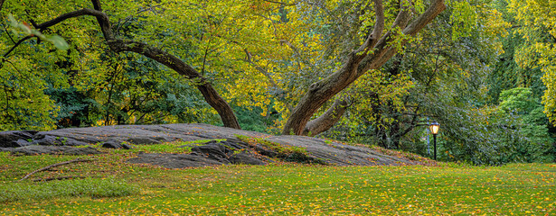 Autumn in Central Park