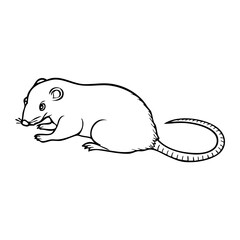 rat line vector illustration