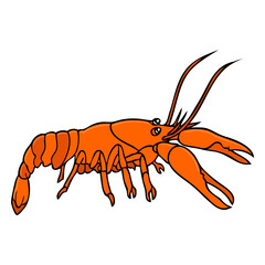 lobster vector illustration
