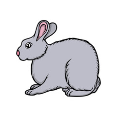 rabbit vector illustration