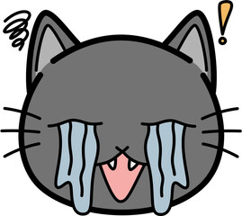 Cute gray cat Cry