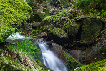 Ilsewasserfall im Harz