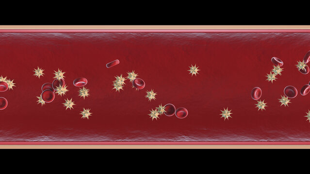Red blood cells and platelets flowing through vein and artery