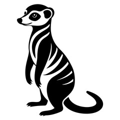 illustration of a meerkat