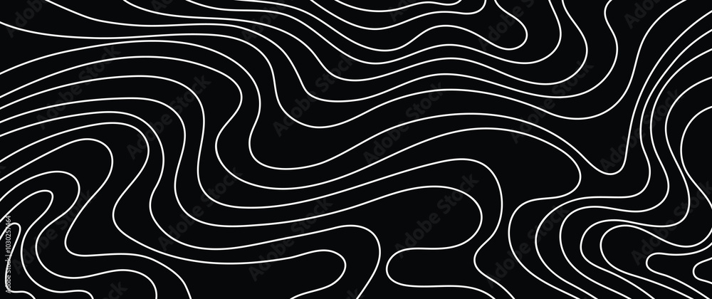 Poster topographic map horizontal background pattern vector liquid swirl line wavy waves in black and white