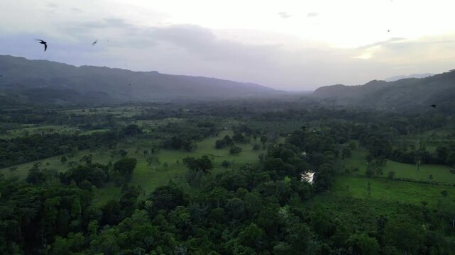 Aerial drone footage over river a lush jungle valley at sunset with birds in sight, Roberto Barrios, Chiapas, Mexico