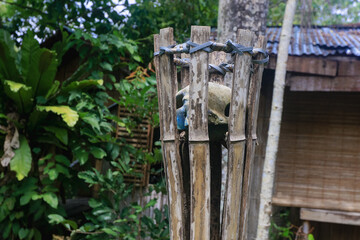 Traditional bamboo torch in Kota Kinabalu surrounded by lush greenery on a calm day