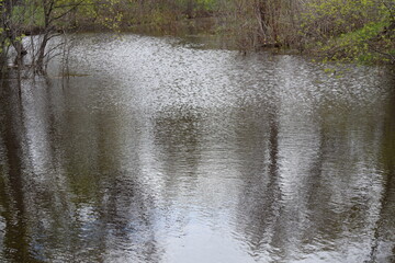 ravine filled by swollen creak during spring flooding
