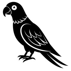 illustration of an parrot