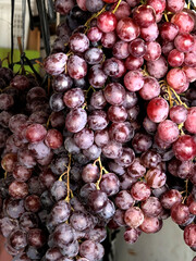 a bunch of grape. close up fresh fruit.