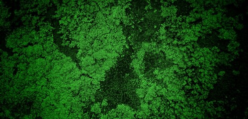 long cracked wall background in green color, Abstract background texture concrete or plaster hand made wall.