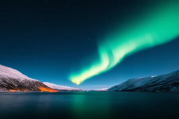 Fototapeta premium Bright green aurora flowing through the cold winter sky, casting light over a frosty seasonal landscape