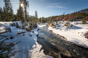 Nad strumykiem Cicha w beskidzkiej miejscowości Soblówka  © Arsky