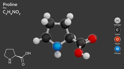 Molecule of Proline (C5H9NO2) is an amino acid important for protein structure and function. Its the stability of collagen, essential for skin and connective tissues. Gray back. 3d illustration