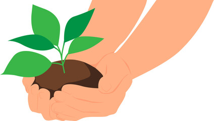 Hands of an adult holding green plant with soil for planting. Vector illustration with transparent background.	
