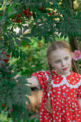 Portrait of a girl in nature. A girl in a red dress next to a rowan bush. The girl has blonde hair in pigtails. Image with selective focus.