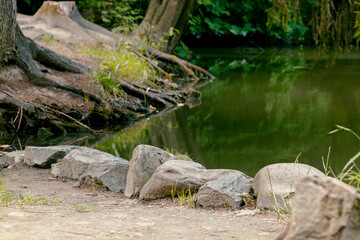 natural scene view of stone near water shore line landscape design garden place with blurred river and tree roots background unfocused space