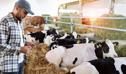 Farmer with a digital tablet monitoring data of methane emissions at farm. Tackling livestock’s...
