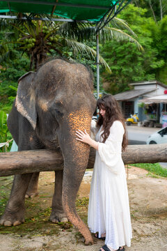 Young woman stroking the trunk of her beloved elephant friend. Teen girl in white dress hugging elephant
