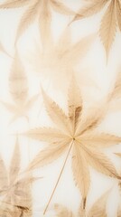 Pressed canabis leaves wallpaper backgrounds plant leaf.