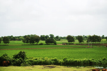 Peaceful countryside featuring abundant greenery and gently sloping hills