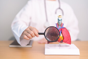 Doctor with Smoker Lung anatomy with magnifying glass. Lung Cancer, Asthma, Chronic Obstructive...