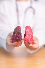 Doctor with Smoker and normal Lung anatomy for Disease. Lung Cancer, Asthma, Chronic Obstructive...