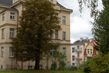 There is a large building that stands prominently, with a beautiful tree situated right in front of it, enhancing the overall scenery