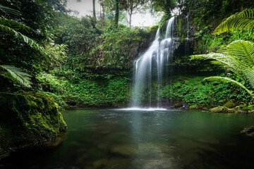 Obraz premium waterfall in jungle