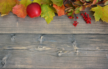 an autumn background with an apple, yellow leaves and a berberis branch