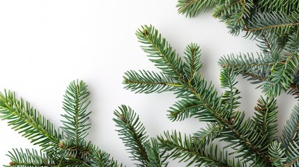 christmas background with christmas branches and decorations